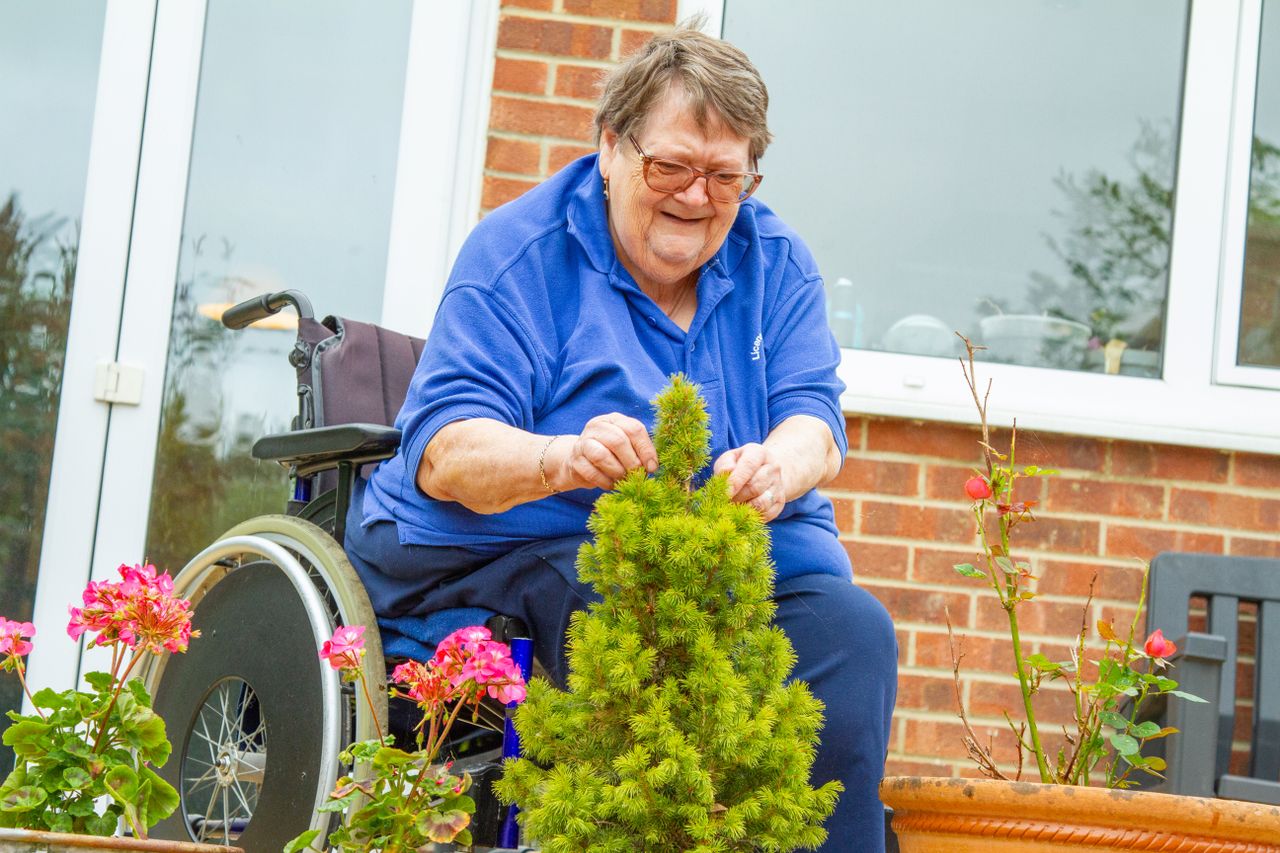 services-04 Senior woman in a wheelchair enjoys gardening in her backyard, tending to plants and flowers.